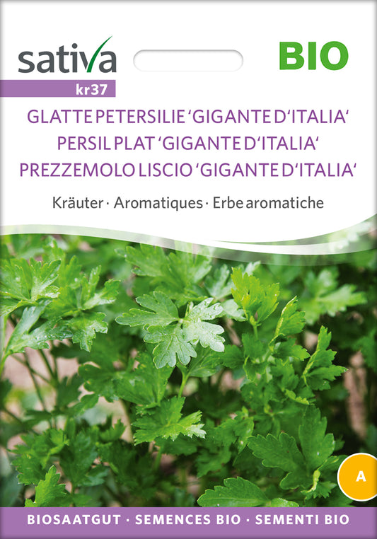 Gigante DItalia (Glatte Petersilie) | BIO Petersiliensamen von Sativa Rheinau