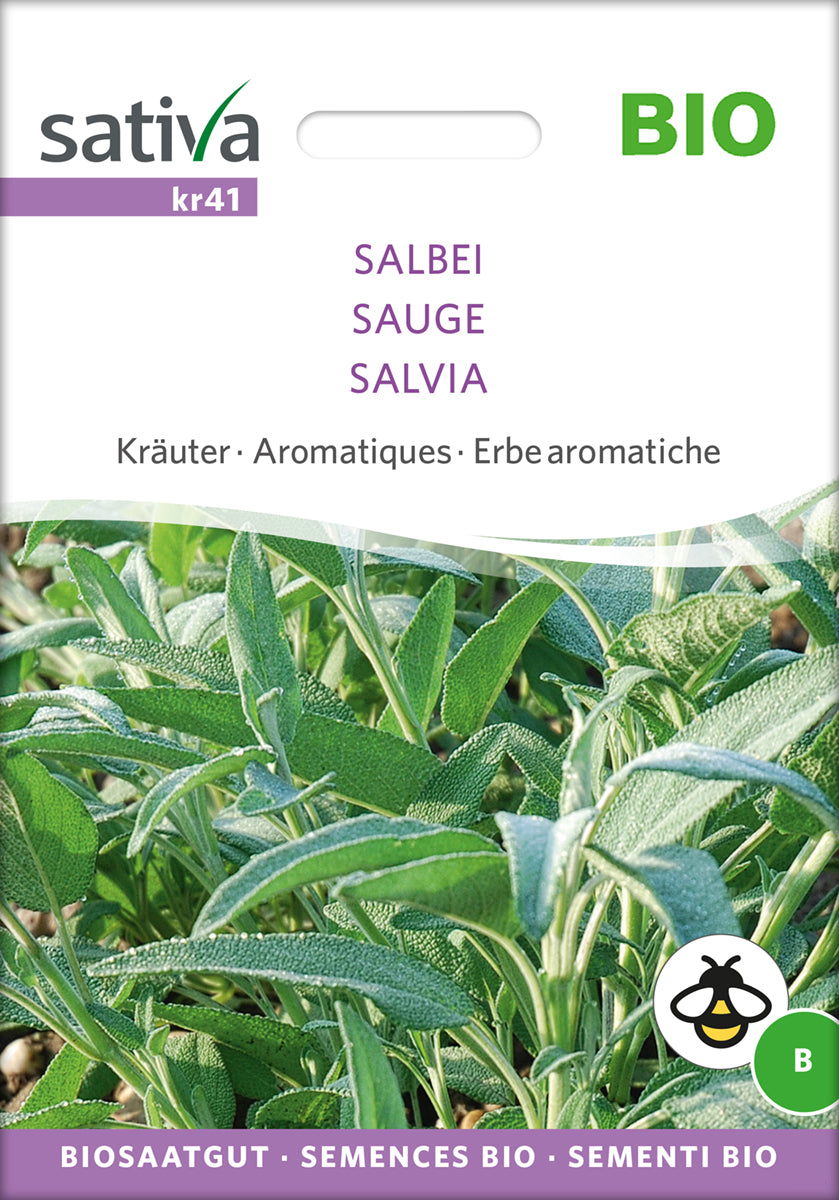 Salbei | BIO Salbeisamen von Sativa Rheinau