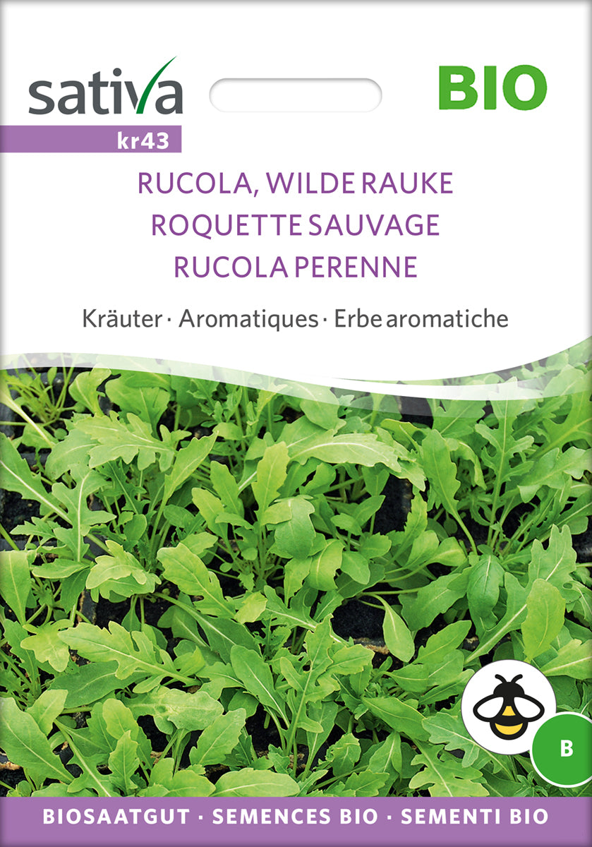 Rucola, Mehrjährig | BIO Raukesamen von Sativa Rheinau