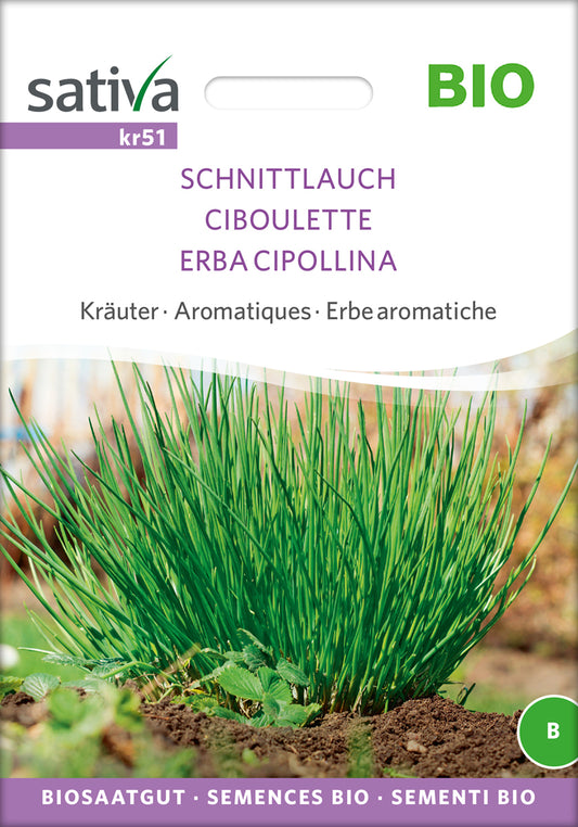 Schnittlauch | BIO Knoblauchsamen von Sativa Rheinau