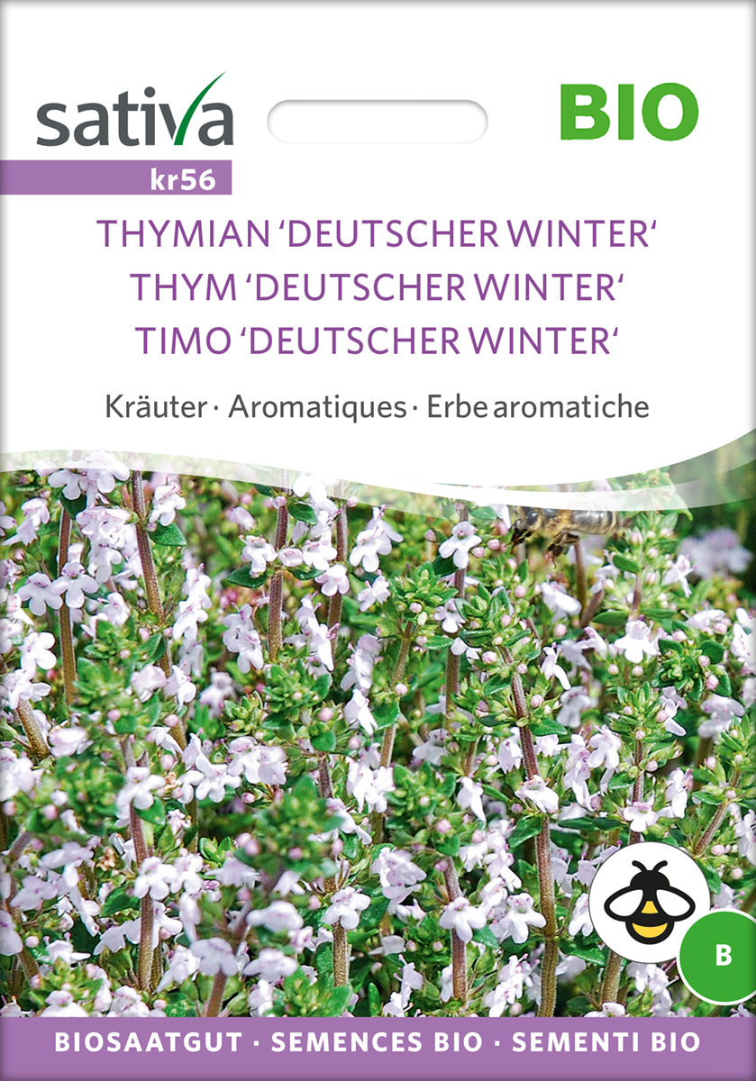 Thymian Deutscher Winter | BIO Thymiansamen von Sativa Rheinau