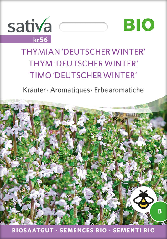 Thymian Deutscher Winter | BIO Thymiansamen von Sativa Rheinau