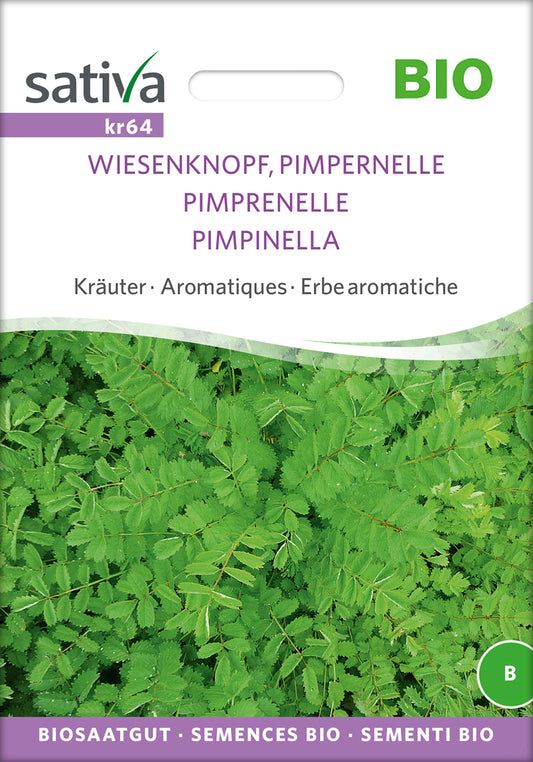 Wiesenknopf Pimpernelle | BIO Kräutersamen von Sativa Rheinau