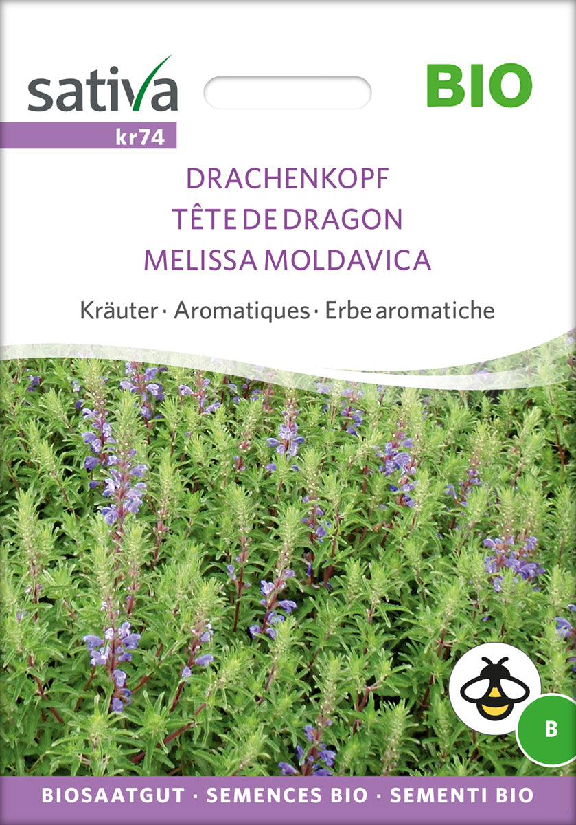 Drachenkopf | BIO Heilpflanzensamen von Sativa Rheinau