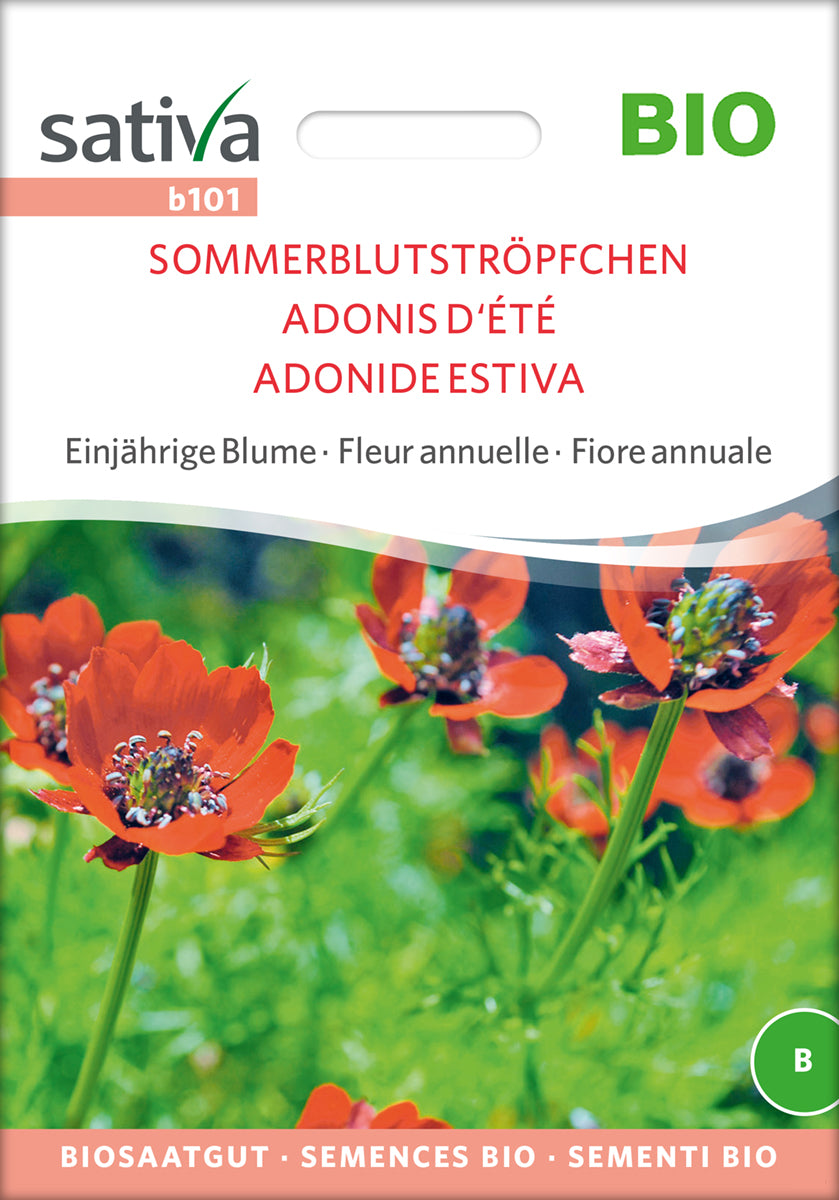 Sommerblutströpfchen | BIO Blumensamen von Sativa Rheinau