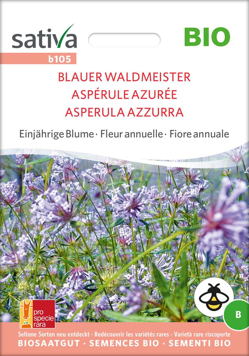Blauer Waldmeister | BIO Blumensamen von Sativa Rheinau