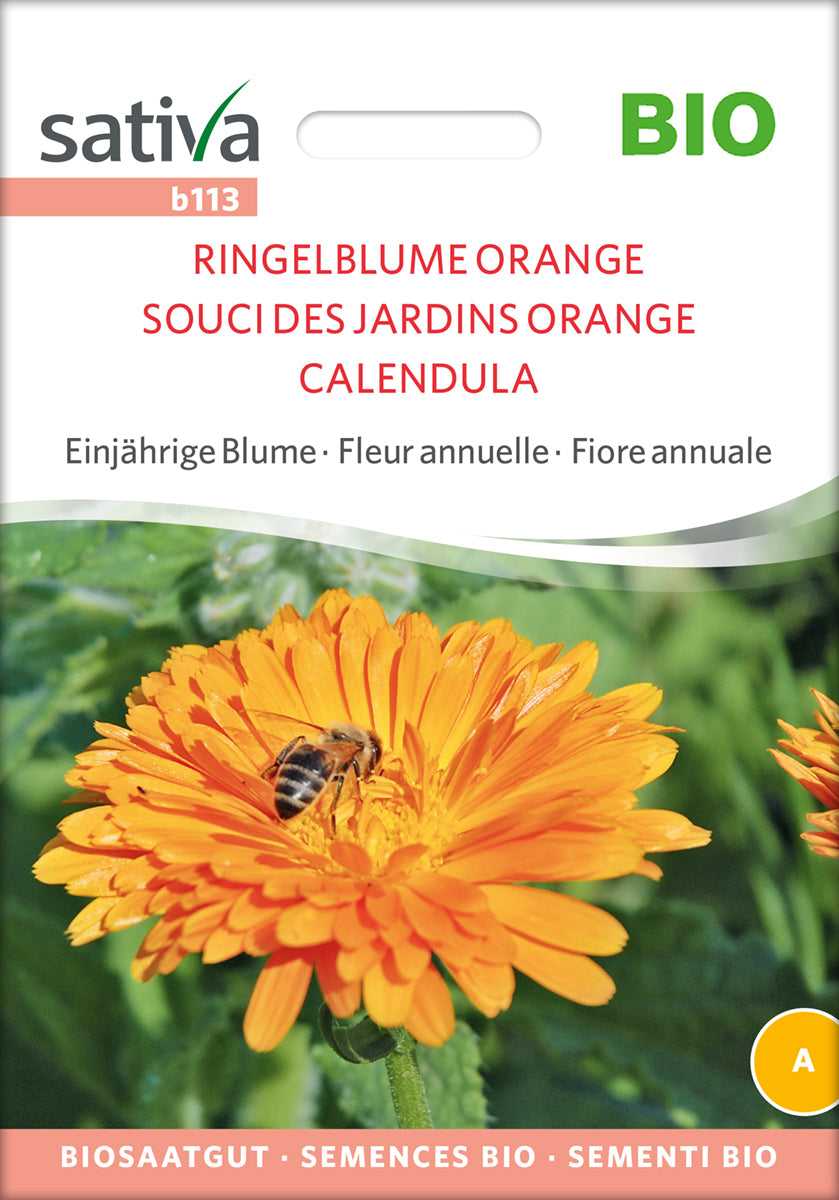 Ringelblume Orange | BIO Ringelblumensamen von Sativa Rheinau