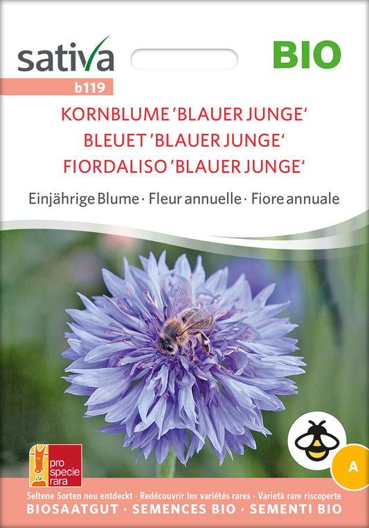 Kornblume Blauer Junge | BIO Kornblumensamen von Sativa Rheinau