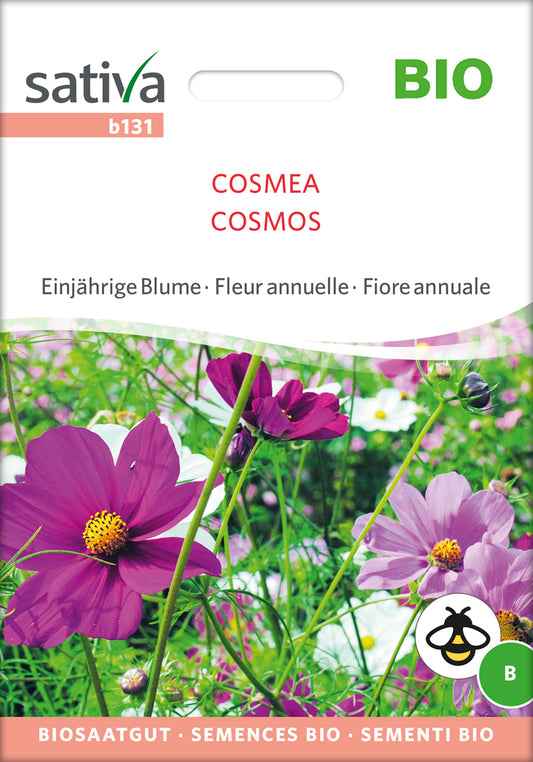 Cosmea | BIO Cosmeasamen von Sativa Rheinau
