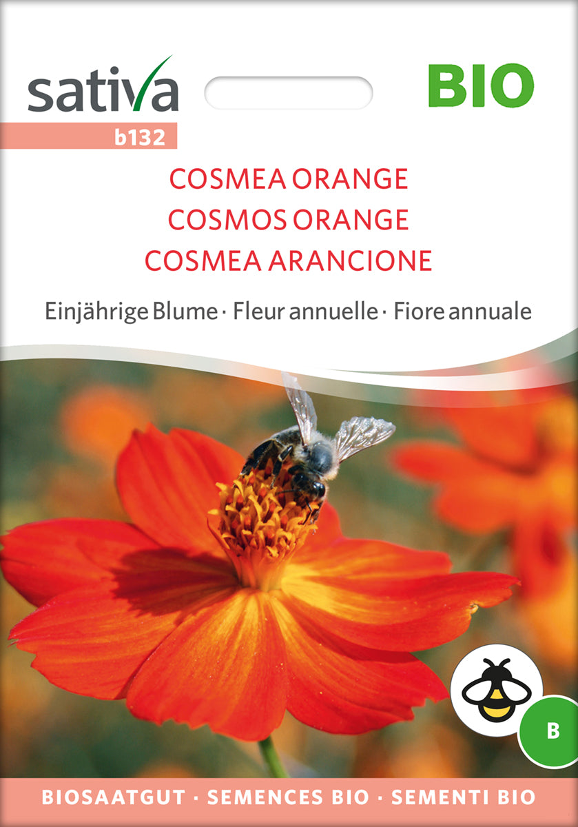 Cosmea Orange | BIO Cosmeasamen von Sativa Rheinau