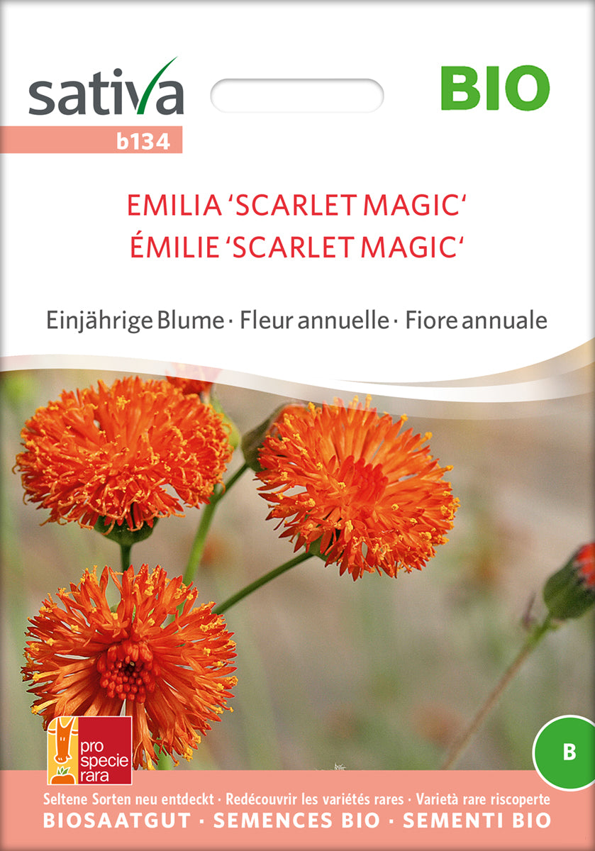 Emilia Scarlet Magic | BIO Blumensamen von Sativa Rheinau