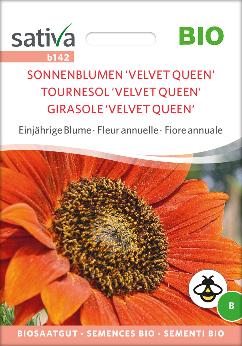 Sonnenblume Velvet Queen | BIO Sonnenblumensamen von Sativa Rheinau