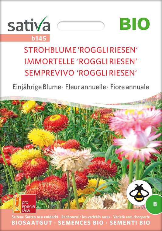 Strohblume Roggli Riesen | BIO Strohblumensamen von Sativa Rheinau