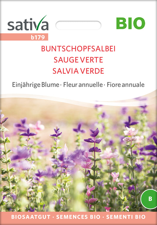 Buntschopfsalbei | BIO Salbeisamen von Sativa Rheinau