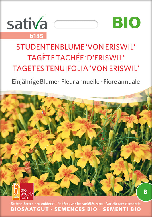 Studentenblume Von Eriswil | BIO Studentenblumensamen von Sativa Rheinau