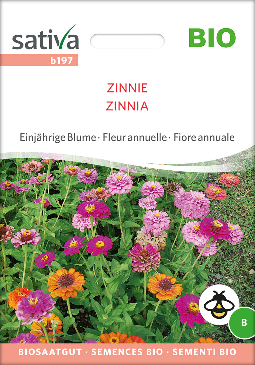 Zinnie | BIO Zinniensamen von Sativa Rheinau