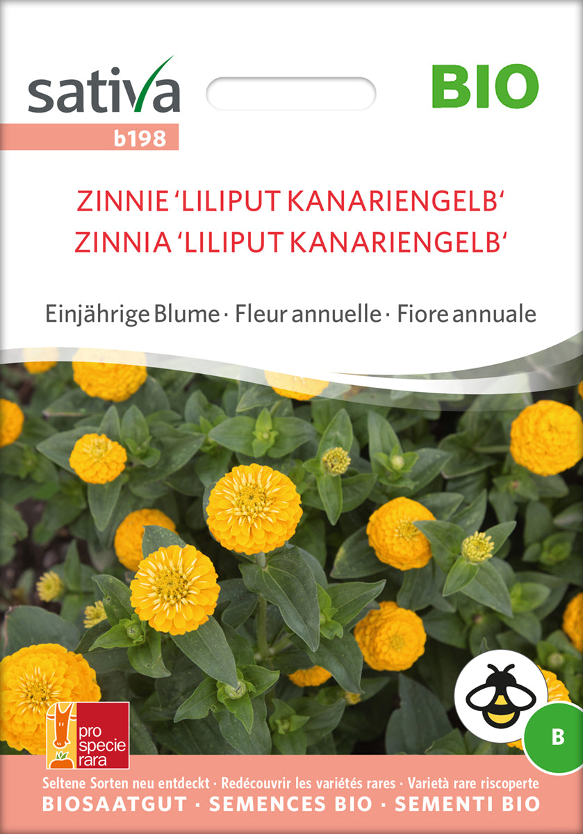 Zinnie Liliput Kanariengelb | BIO Zinniensamen von Sativa Rheinau