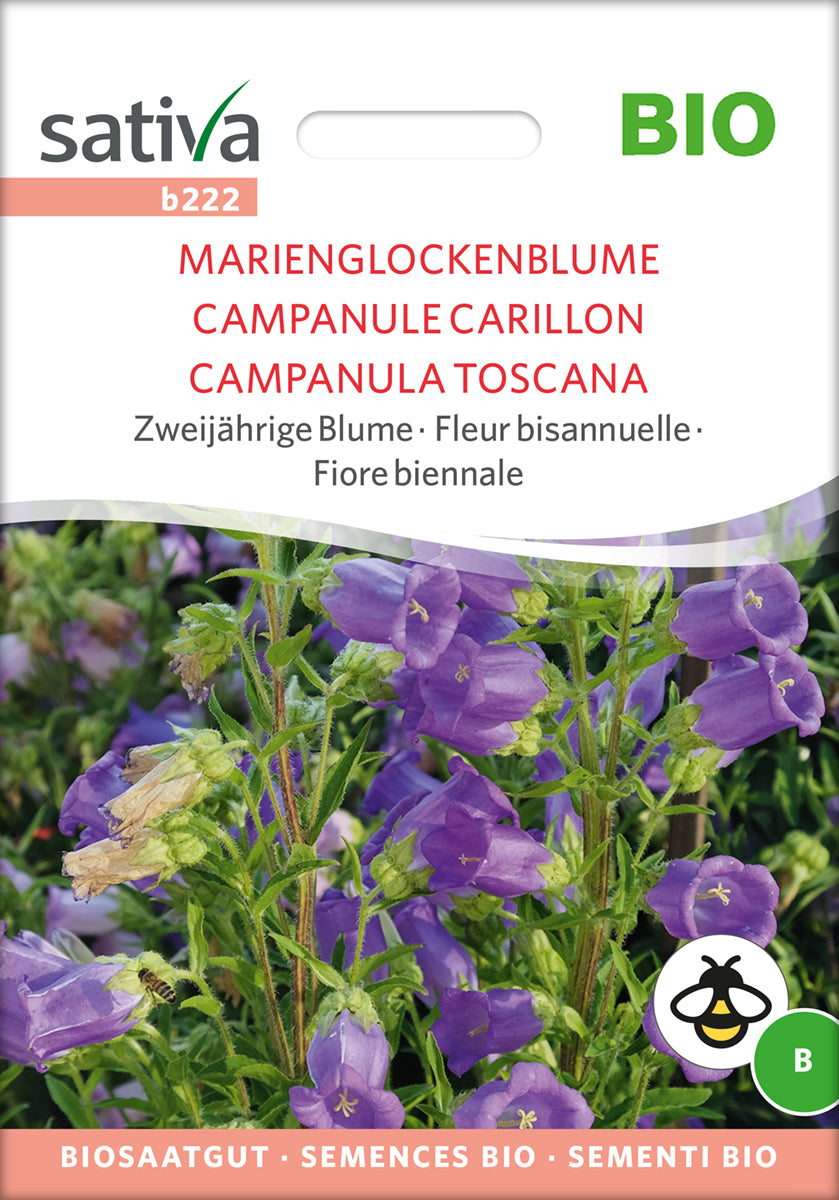 Marienglockenblume | BIO Glockenblumensamen von Sativa Rheinau