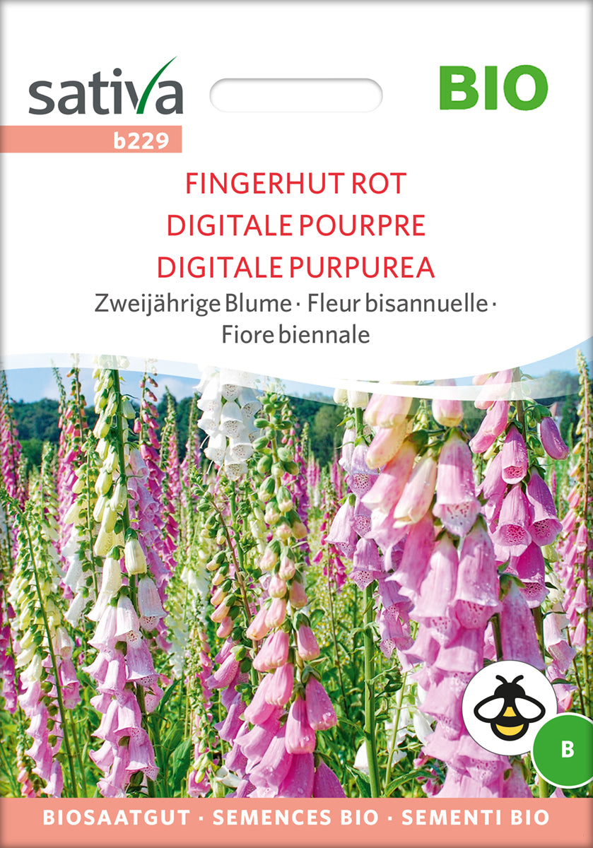 Fingerhut Rot | BIO Fingerhutsamen von Sativa Rheinau