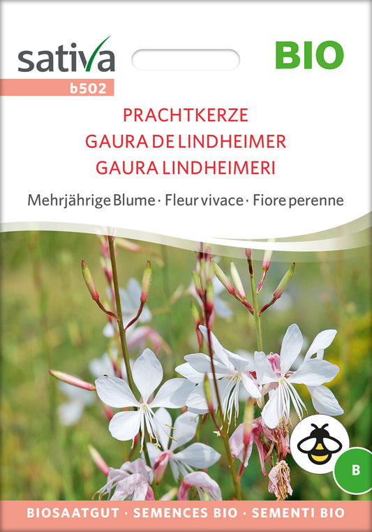 Prachtkerze | BIO Blumensamen von Sativa Rheinau