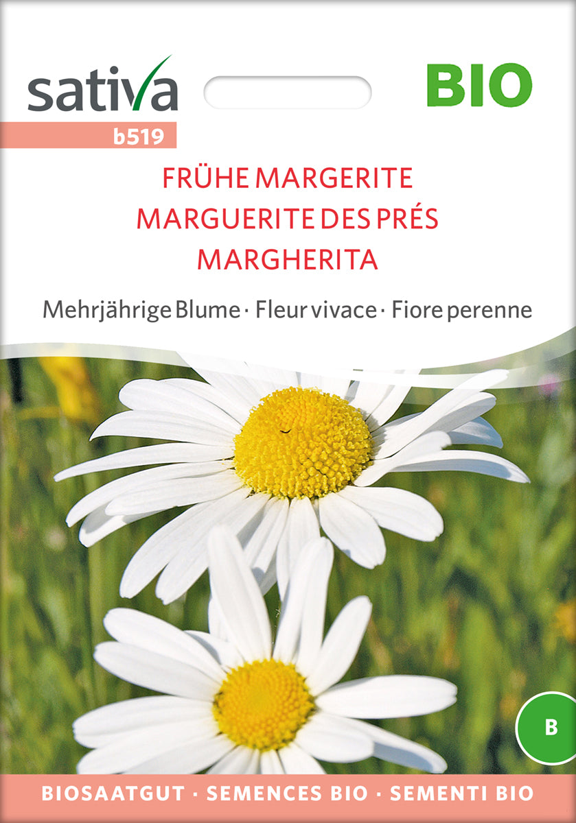 Frühe Margerite | BIO Margeritesamen von Sativa Rheinau