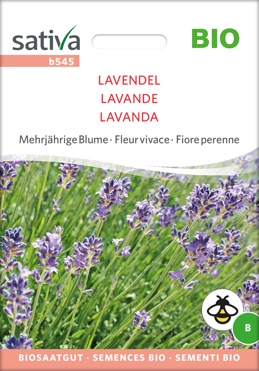 Lavendel | BIO Lavendelsamen von Sativa Rheinau