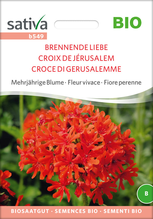 Brennende Liebe | BIO Blumensamen von Sativa Rheinau