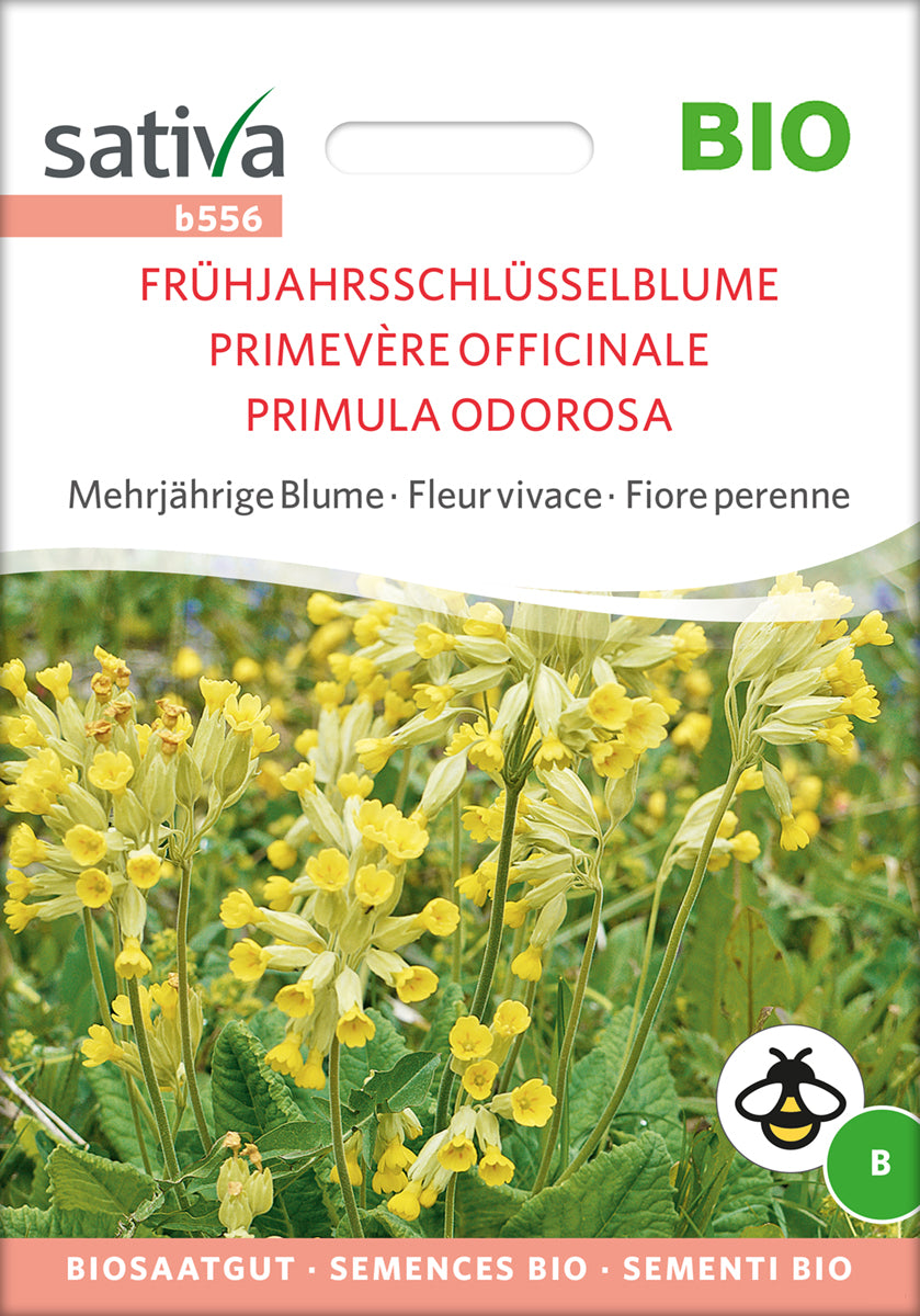 Frühjahrsschlüsselblume | BIO Schlüsselblumensamen von Sativa Rheinau