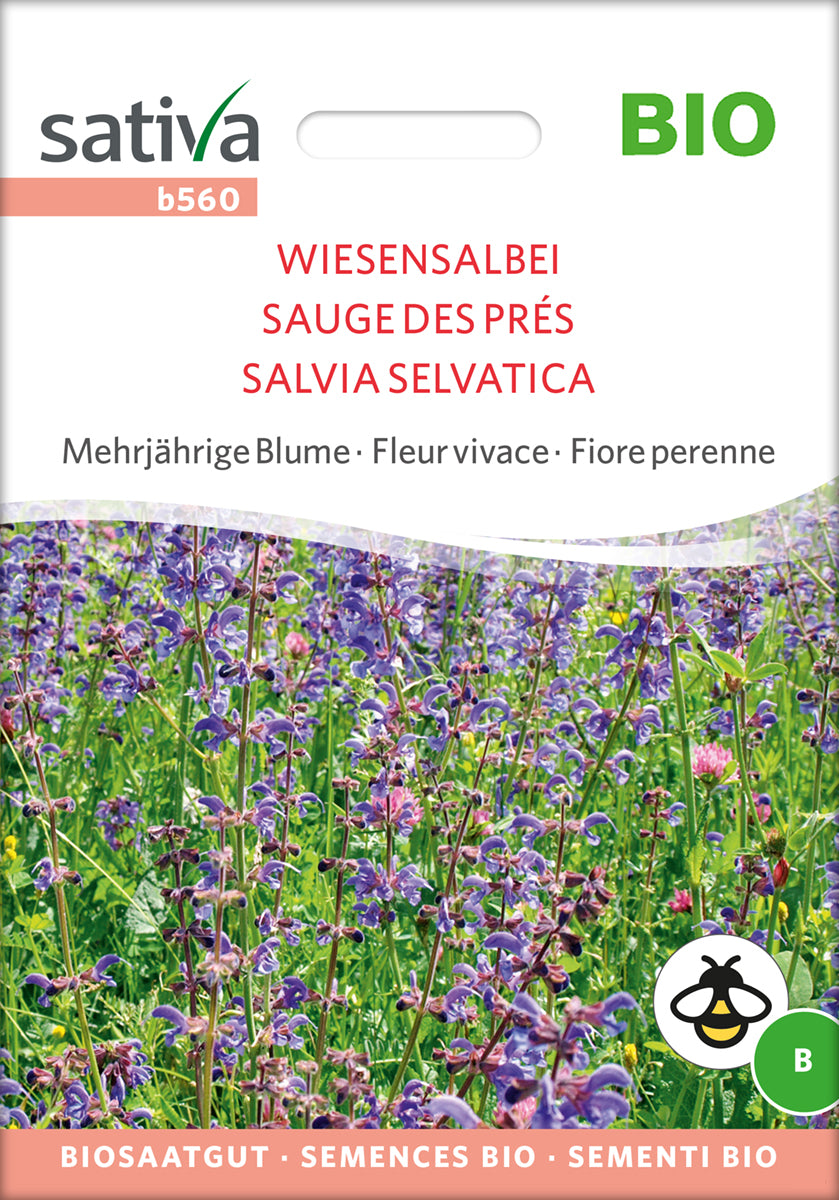 Wiesensalbei | BIO Salbeisamen von Sativa Rheinau