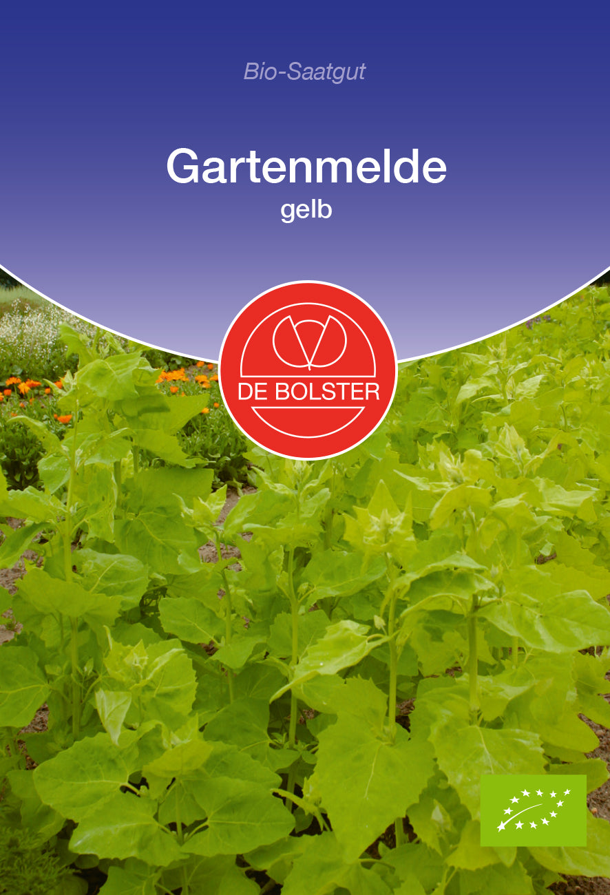 Gartenmelde gelb | BIO Gemüsesamen von De Bolster