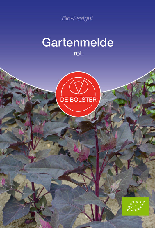 Gartenmelde rot | BIO Spinatsamen von De Bolster