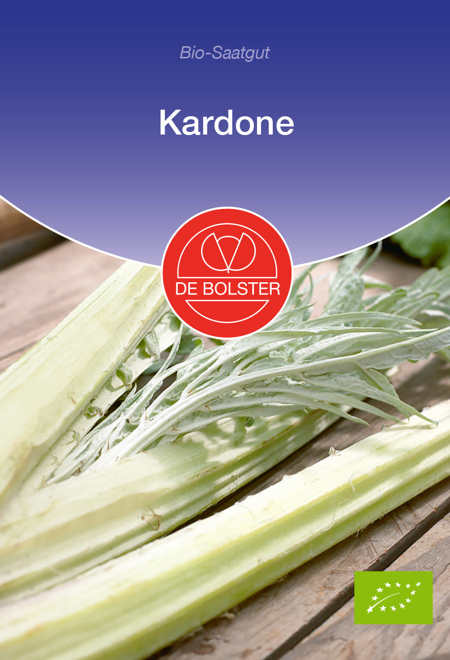 Kardone | BIO Gemüsesamen von De Bolster