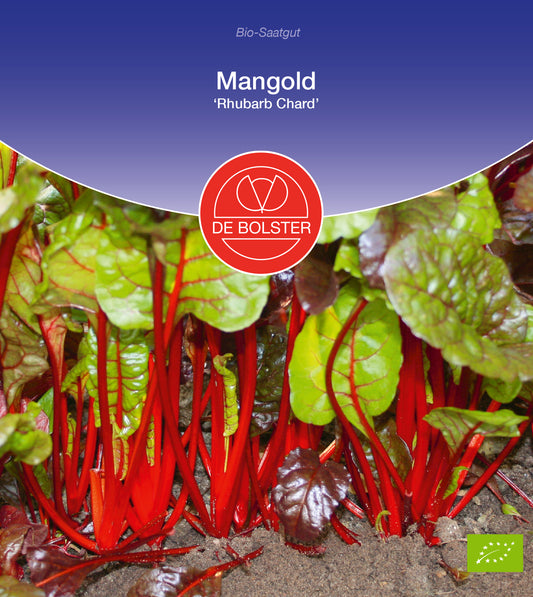 Mangold Rhubarb Chard | BIO Mangoldsamen von De Bolster