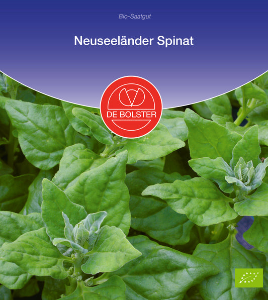 Neuseeländer Spinat | BIO Spinatsamen von De Bolster