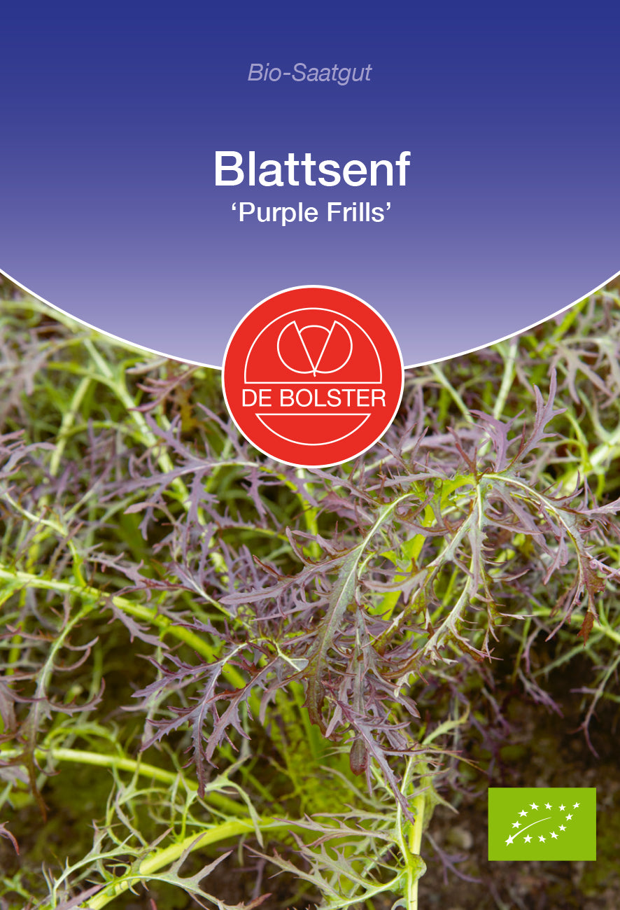 Blattsenf Purple Frills | BIO Salatsamen von De Bolster