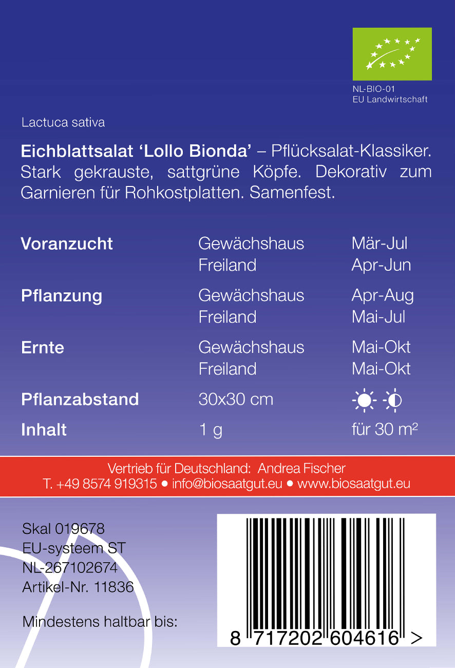 Eichblattsalat Lollo Bionda | BIO Eichblattsalatsamen von De Bolster