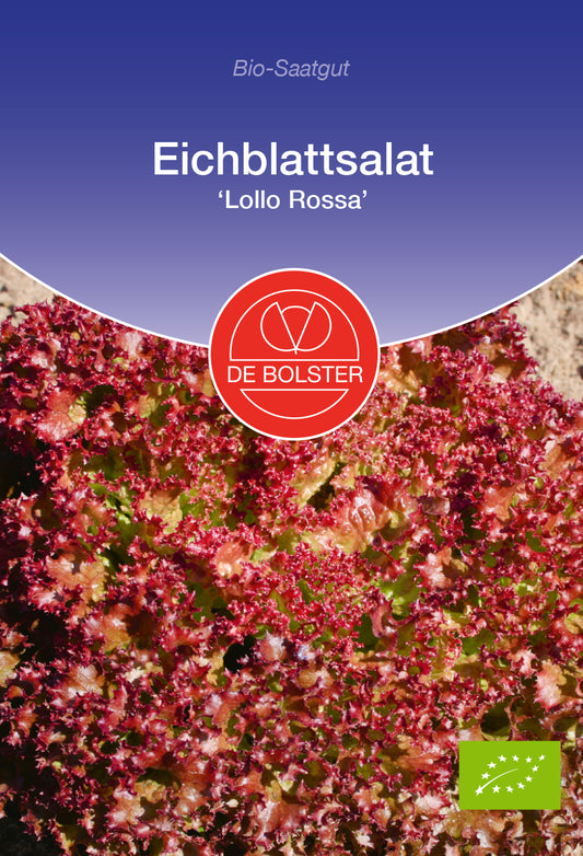 Eichblattsalat Lollo Rossa | BIO Eichblattsalatsamen von De Bolster
