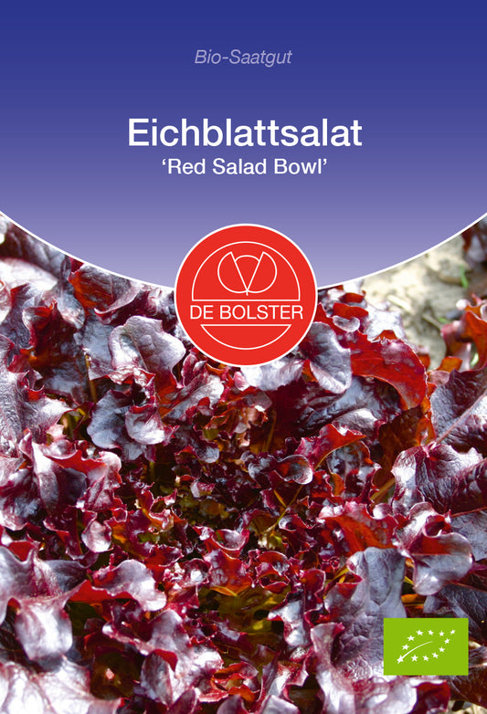 Eichblattsalat Red Salad Bowl | BIO Eichblattsalatsamen von De Bolster