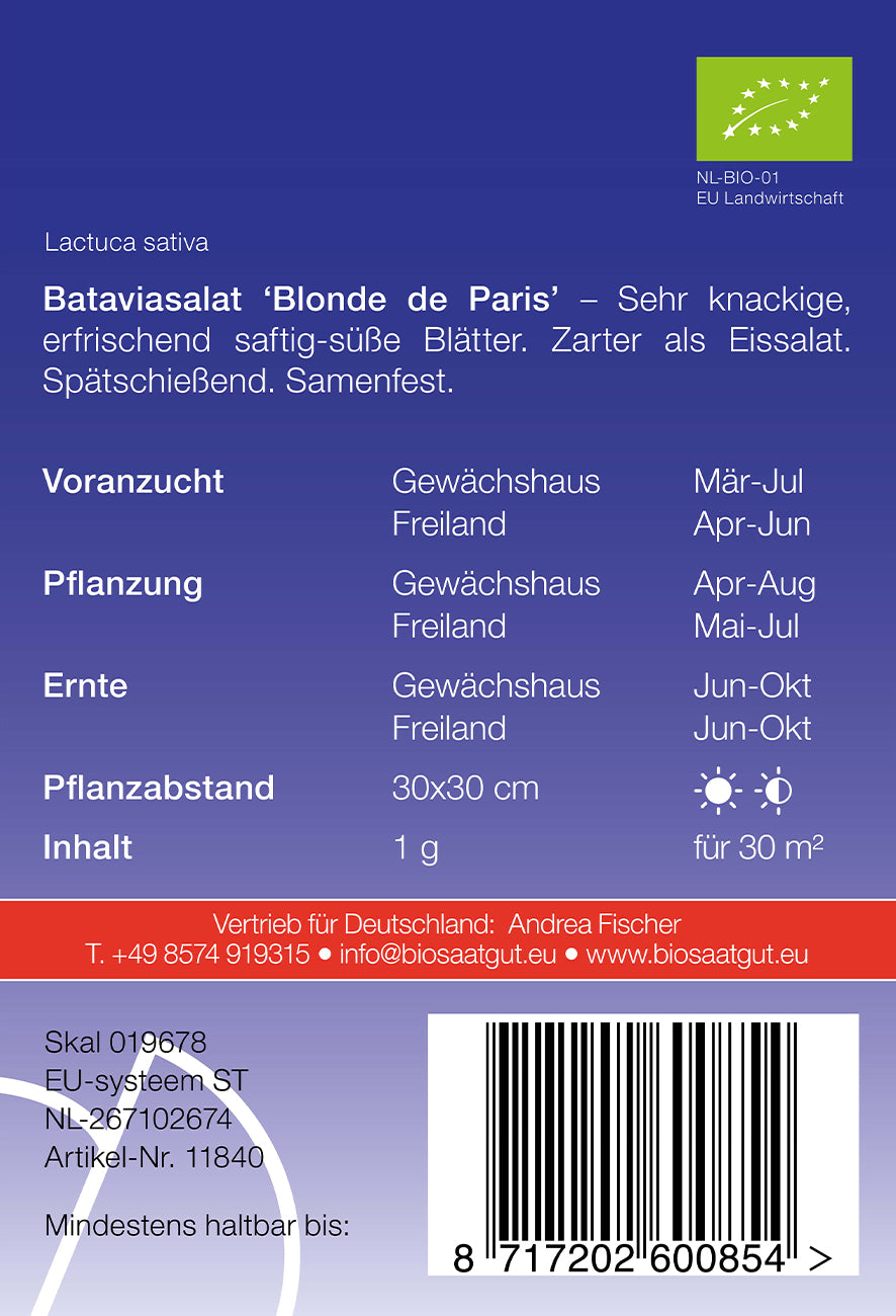 Bataviasalat Blonde de Paris | BIO Eissalatsamen von De Bolster