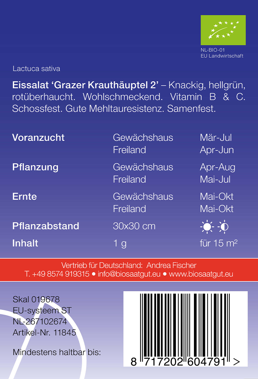 Eissalat Grazer Krauthäuptel 2 | BIO Eissalatsamen von De Bolster