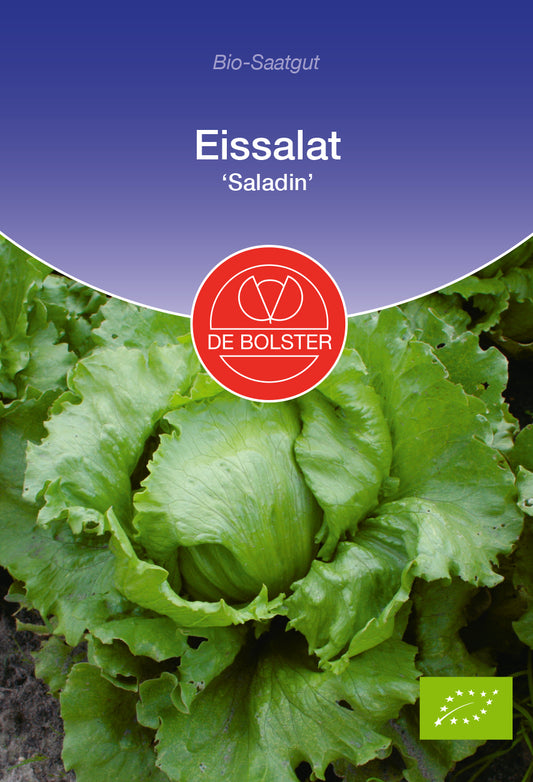 Eissalat Saladin | BIO Eissalatsamen von De Bolster