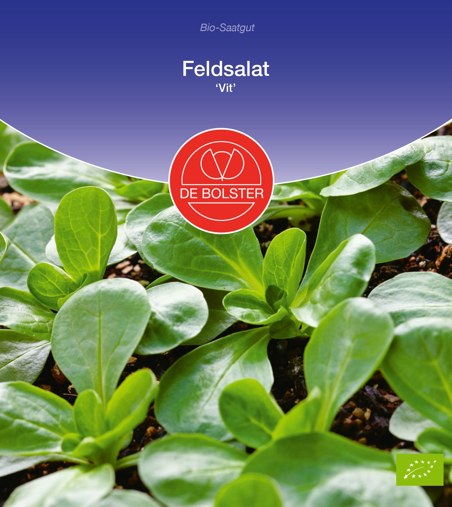 Feldsalat Vit | BIO Feldsalatsamen von De Bolster