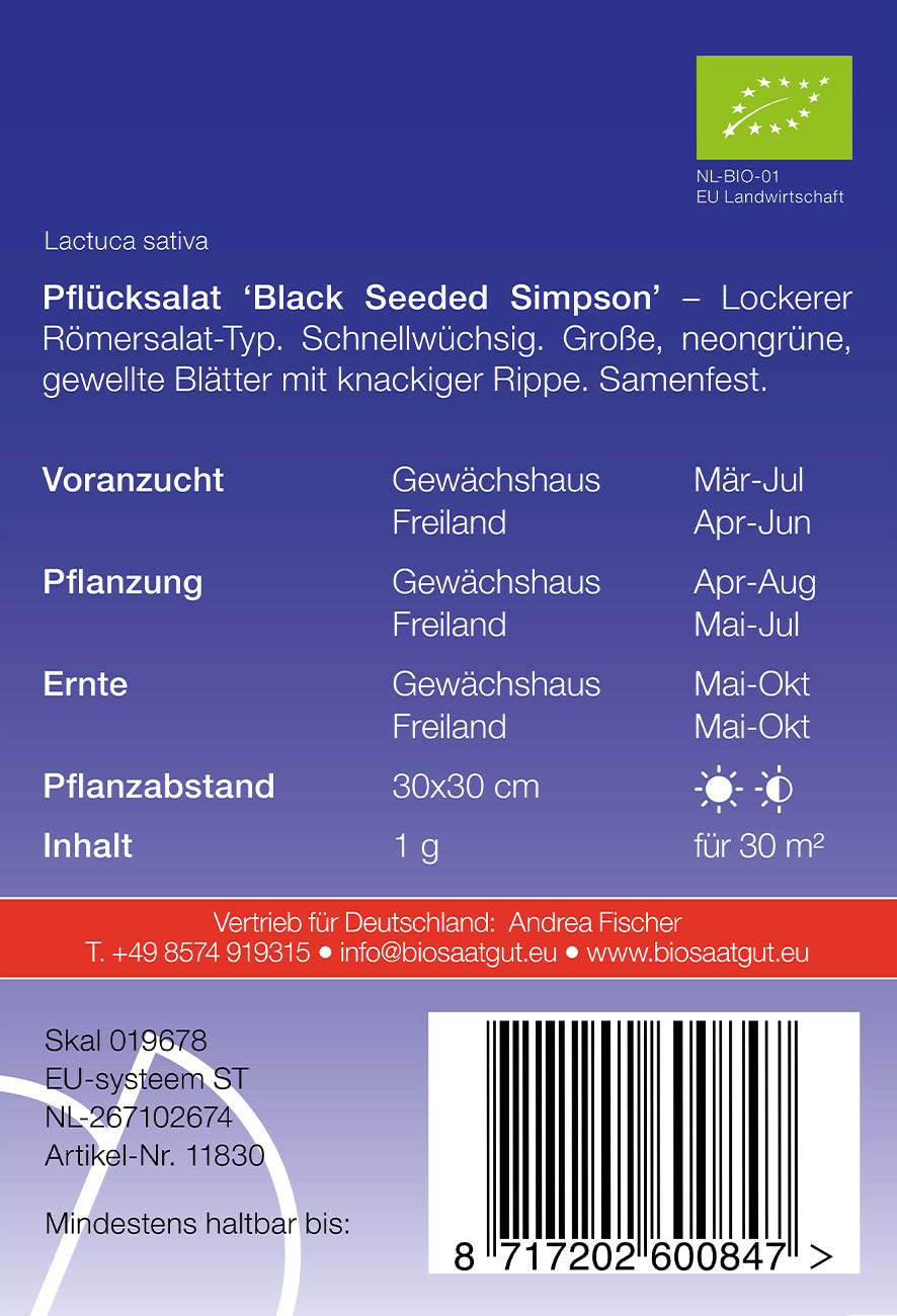 Pflücksalat Black Seeded Simpson | BIO Pflücksalatsamen von De Bolster