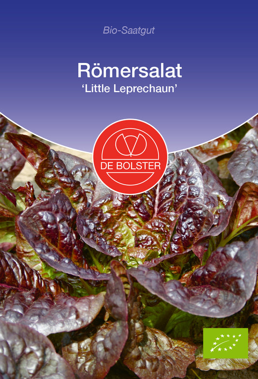 Römersalat Little Leprechaun | BIO Salatsamen von De Bolster