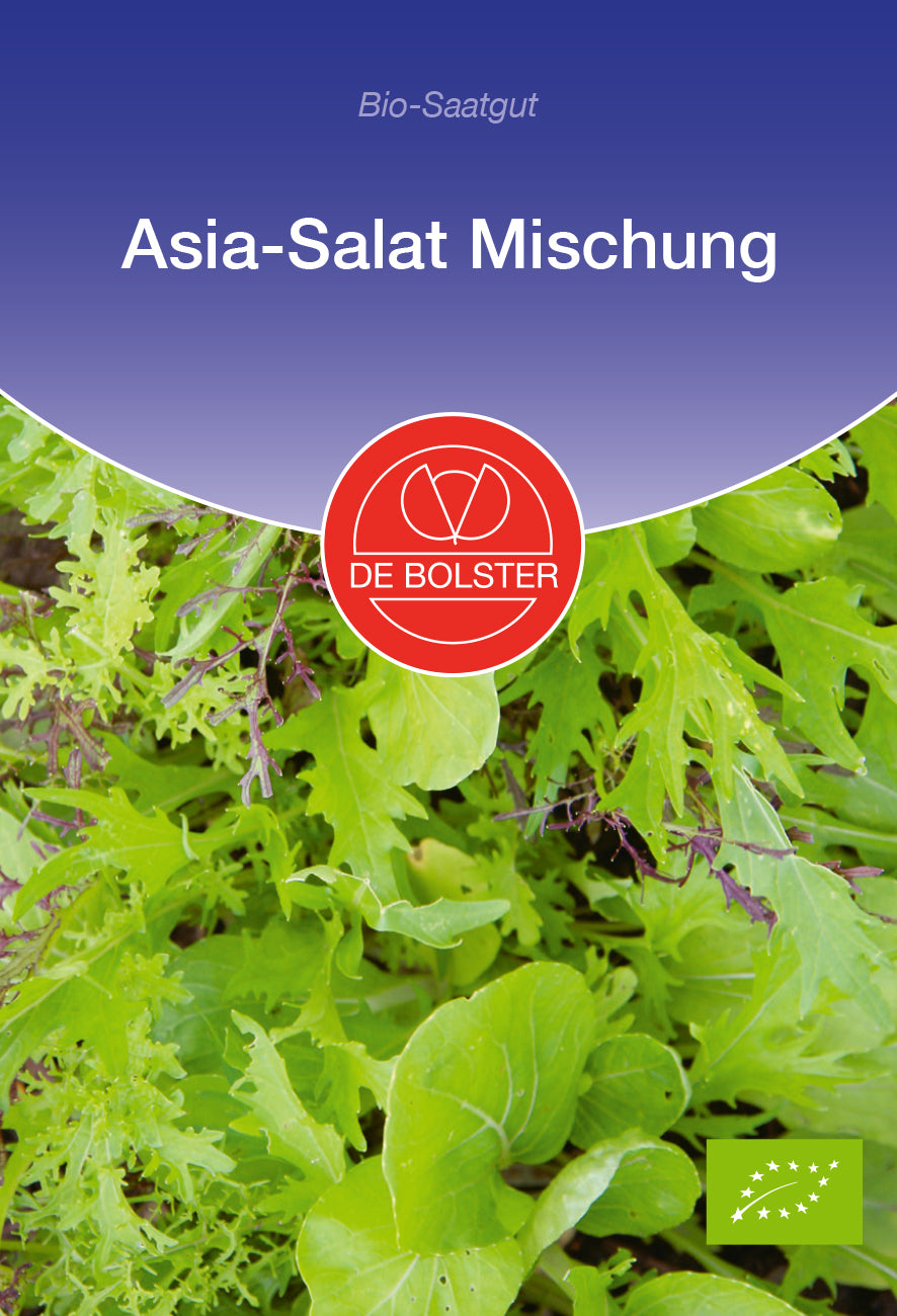 Asia - Salat Mischung | BIO Salatsamen von De Bolster