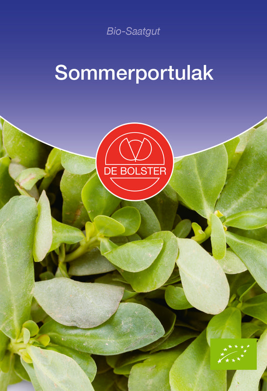 Sommerportulak Wildsalat | Bio-Sommerportulaksamen von De Bolster