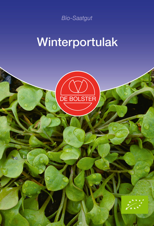 Winterportulak | BIO Portulaksamen von De Bolster