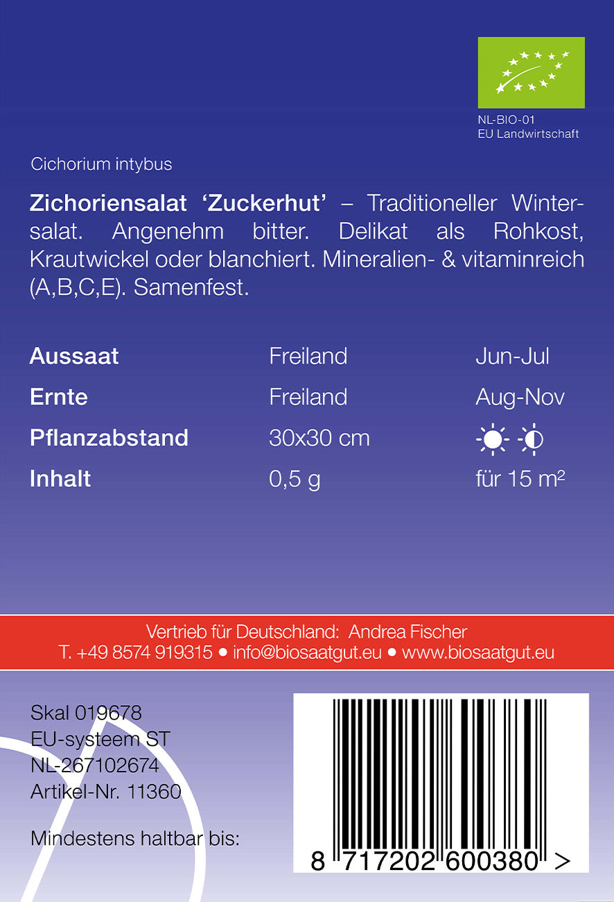 Zichoriensalat Zuckerhut | BIO Zuckerhutsamen von De Bolster [MHD 12/2023]