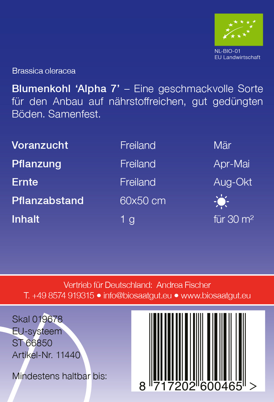 Blumenkohl Alpha 7 | BIO Blumenkohlsamen von De Bolster [MHD 12/2023]