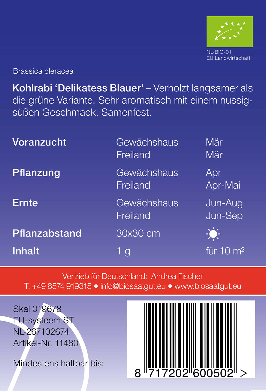 Kohlrabi Delikatess Blauer | BIO Kohlrabisamen von De Bolster [MHD 12/2023]